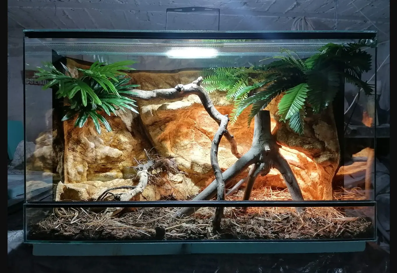 Beépített világítású terrárium